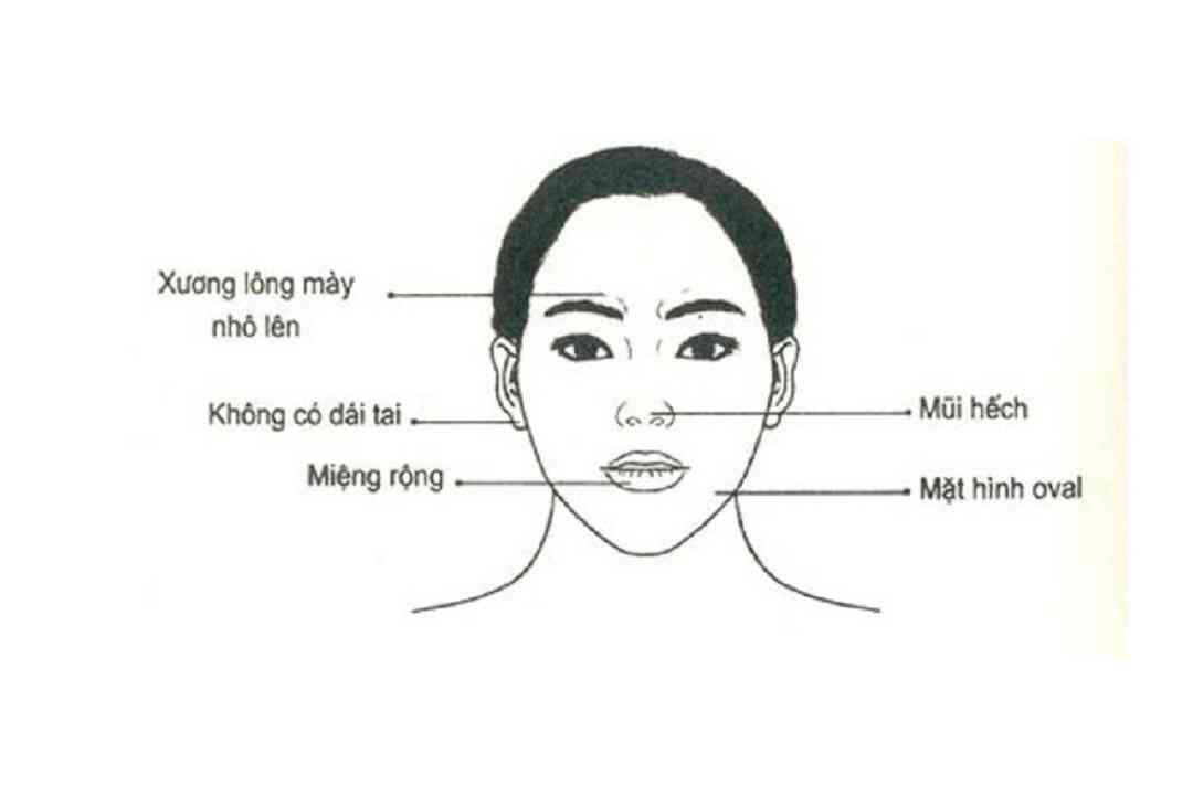 Tướng ngũ quan trên khuôn mặt