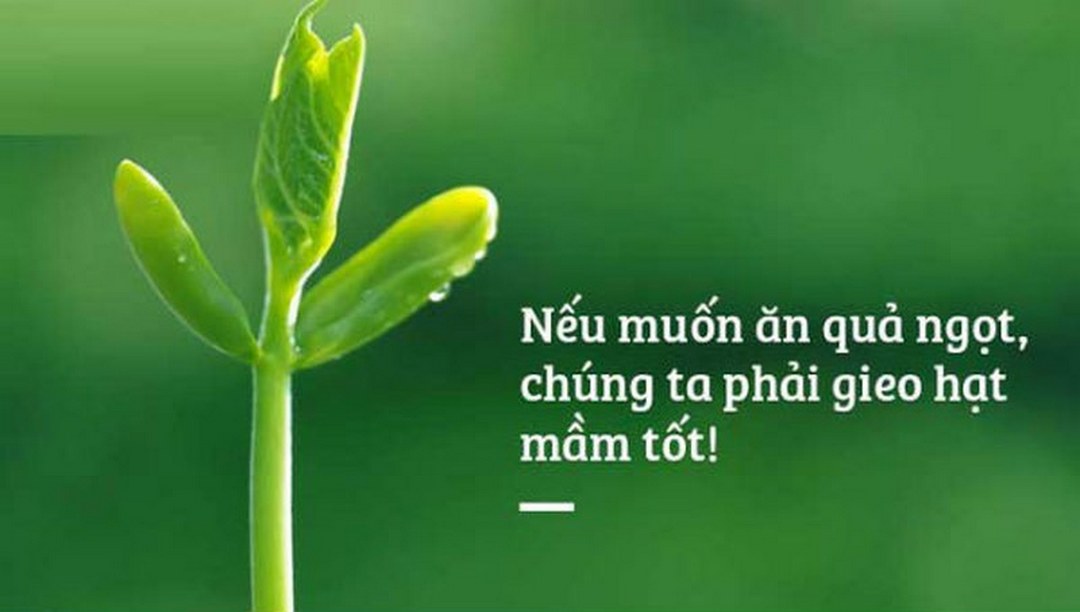 Ý nghĩa của luật nhân quả