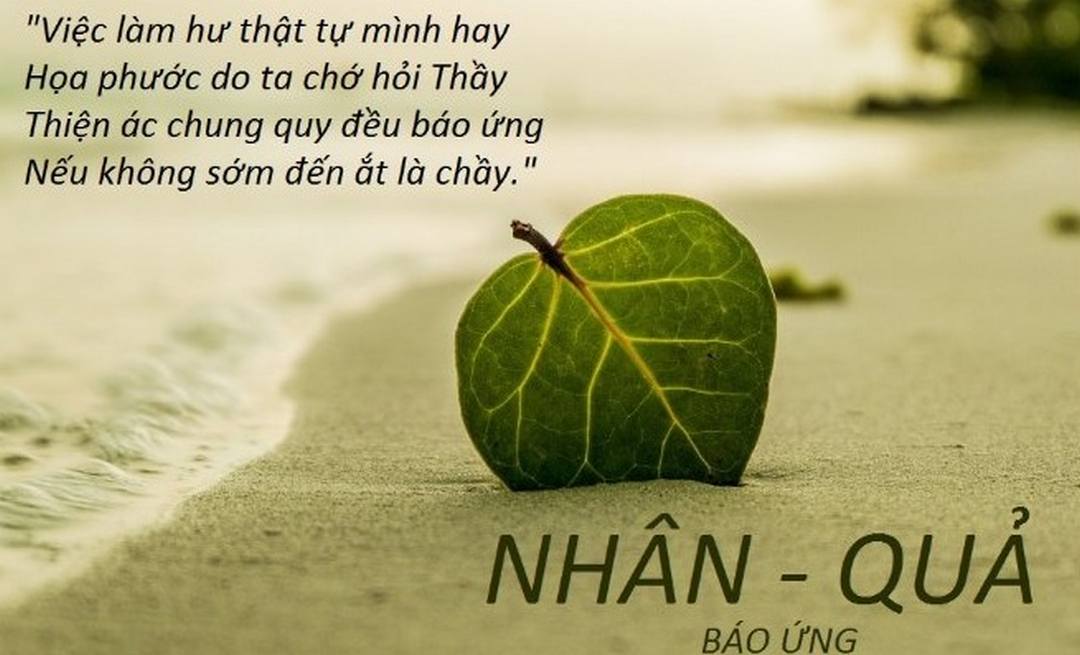 Những câu nói hay về luật nhân quả