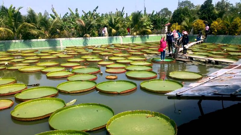 Giá trị văn hóa và tinh thần của Chùa Lá Sen